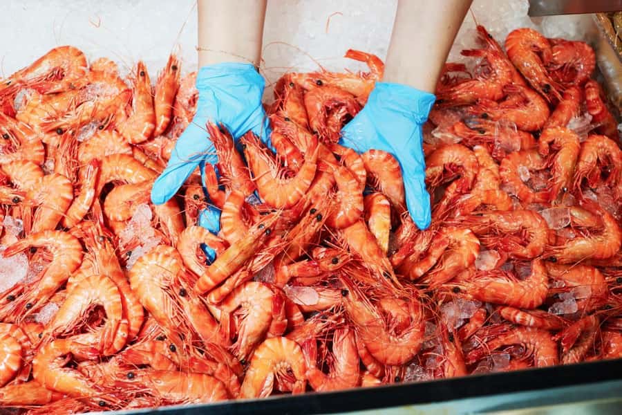 Sydney: Fish Market Food Tour - The 1-hour guided format, and what you should expect in real time