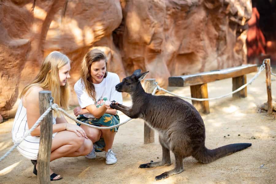 Sydney: Flexi Pass - Pick 3, 5 or 7 Experiences - The Opera House guided tour and Sydney Tower Eye: two kinds of iconic views