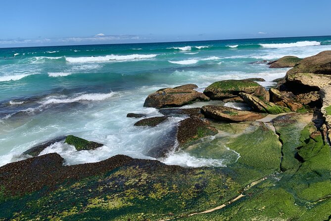Sydney Full Day Private City Harbour Coastal Adventure - Kings Cross and Rose Bay drive: where the views turn into your memory