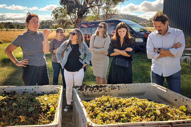 Sydney Grains and Grapes Hunter Valley Wine and Beer with Lunch - Key things that make this Hunter Valley tour work