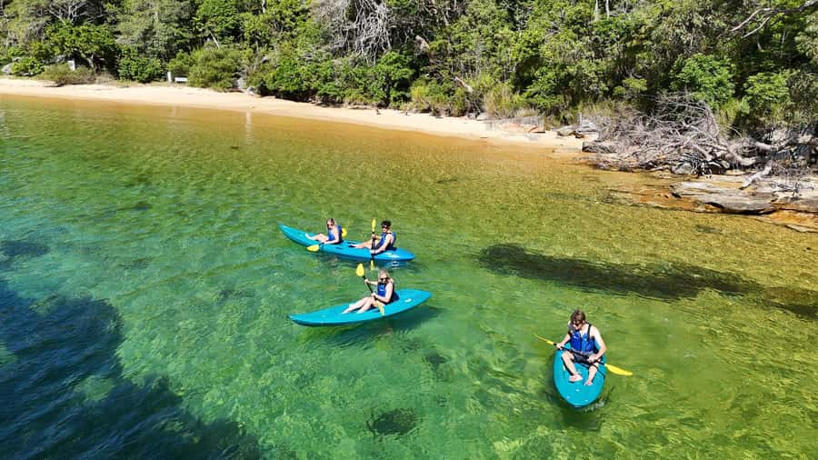 Sydney: Guided Kayak Taster Tour from Manly - Key things I’d plan around