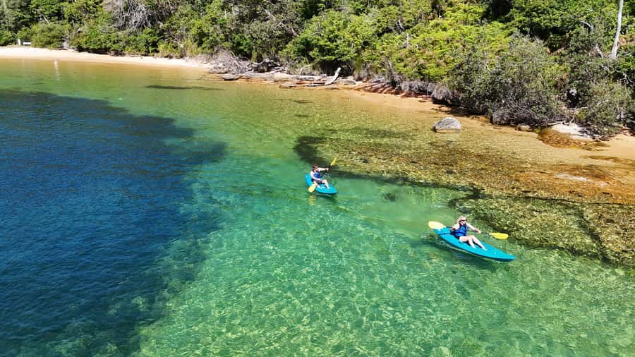 Sydney: Guided Kayak Taster Tour from Manly - Getting To Manly Sailing, the Ferry-Friendly Start