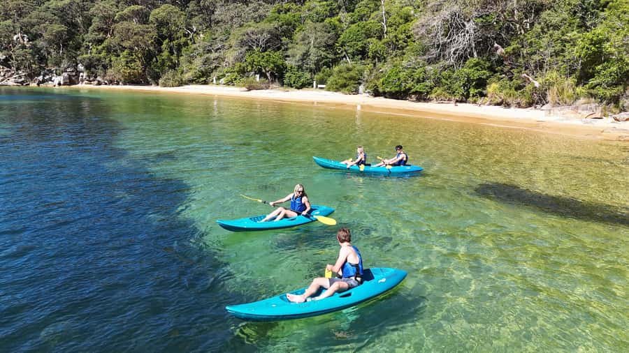 Sydney: Guided Kayak Taster Tour from Manly - Paddling Manly’s Shoreline Like a Taster (Not a Race)