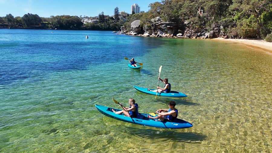 Sydney: Guided Kayak Taster Tour from Manly - Speedboat Time and the Smart Tow Home Plan