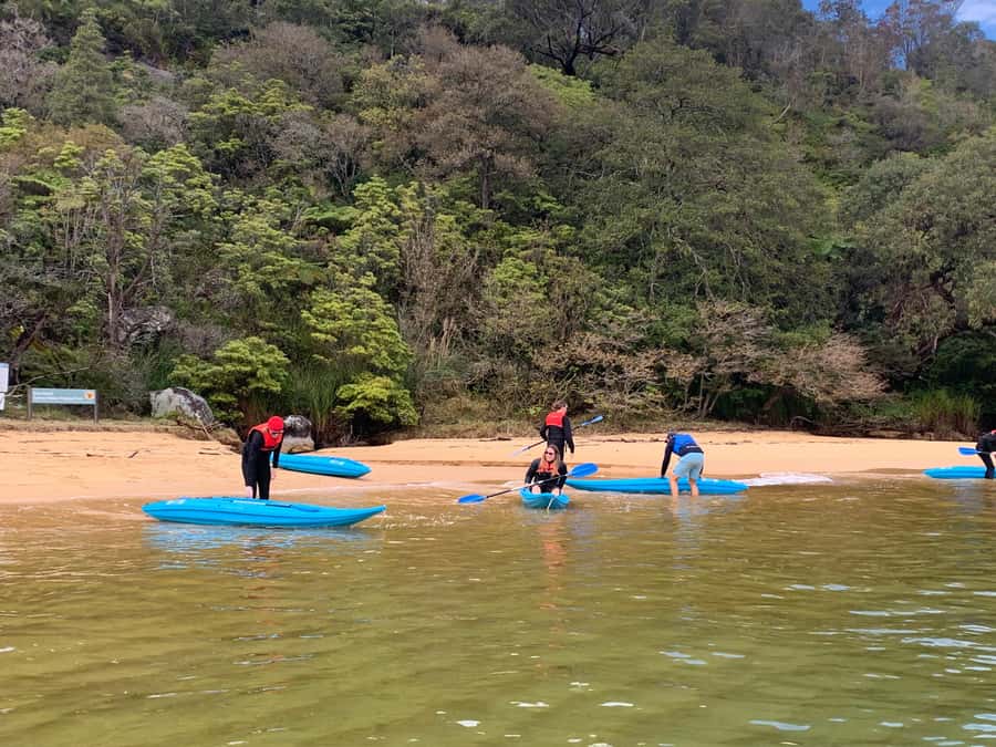 Sydney: Guided Kayak Taster Tour from Manly - Price and Value: Why $46 for 90 Minutes Can Make Sense