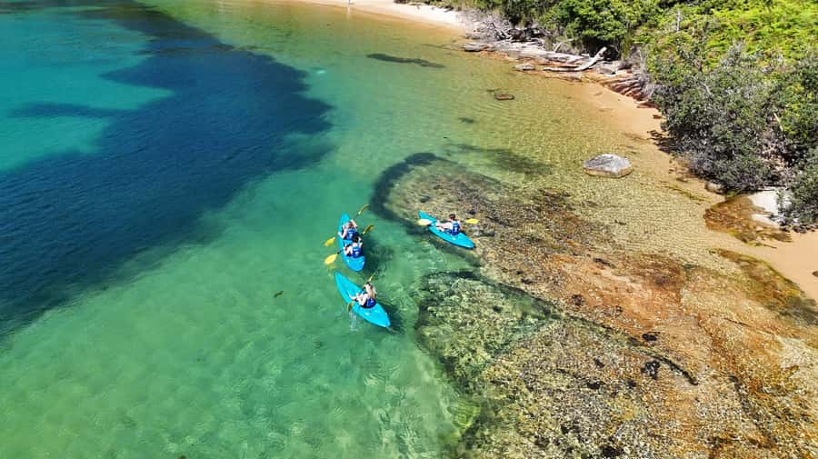 Sydney: Guided Kayak Taster Tour from Manly - Who This Kayak Taster Is For (and Who It Isn’t)