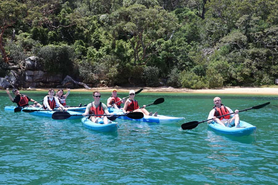 Sydney: Guided Kayak Taster Tour from Manly - Guide Style Matters: The Difference Between Doing It and Knowing It