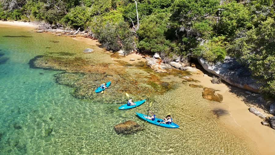 Sydney: Guided Kayak Taster Tour from Manly - The 10-Minute Safety Briefing That Sets You Up
