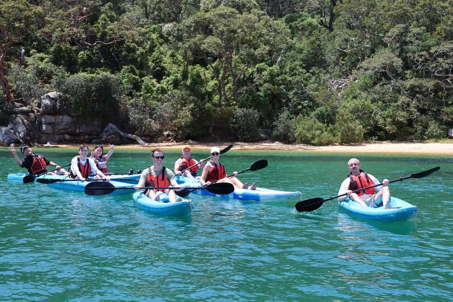 Sydney: Guided Kayak Tour of Manly Cove Beaches - Manly Cove by kayak, not by foot