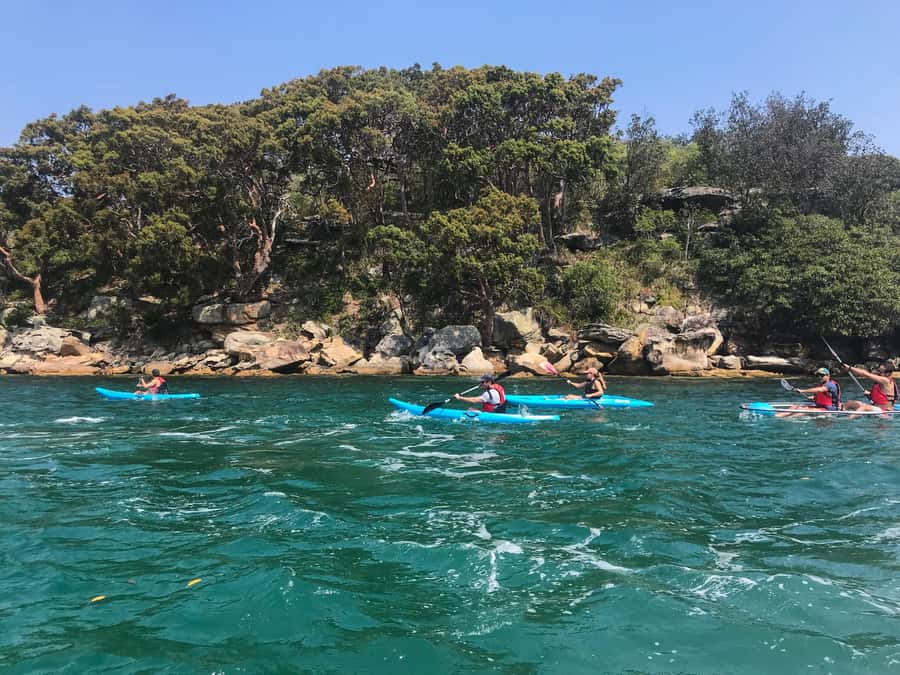 Sydney: Guided Kayak Tour of Manly Cove Beaches - Gear, safety briefing, and a real lesson before paddling