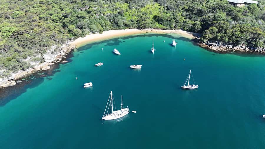 Sydney: Guided Kayak Tour of Manly Cove Beaches - Single or double sit-on-top: choosing the right kayak for your comfort