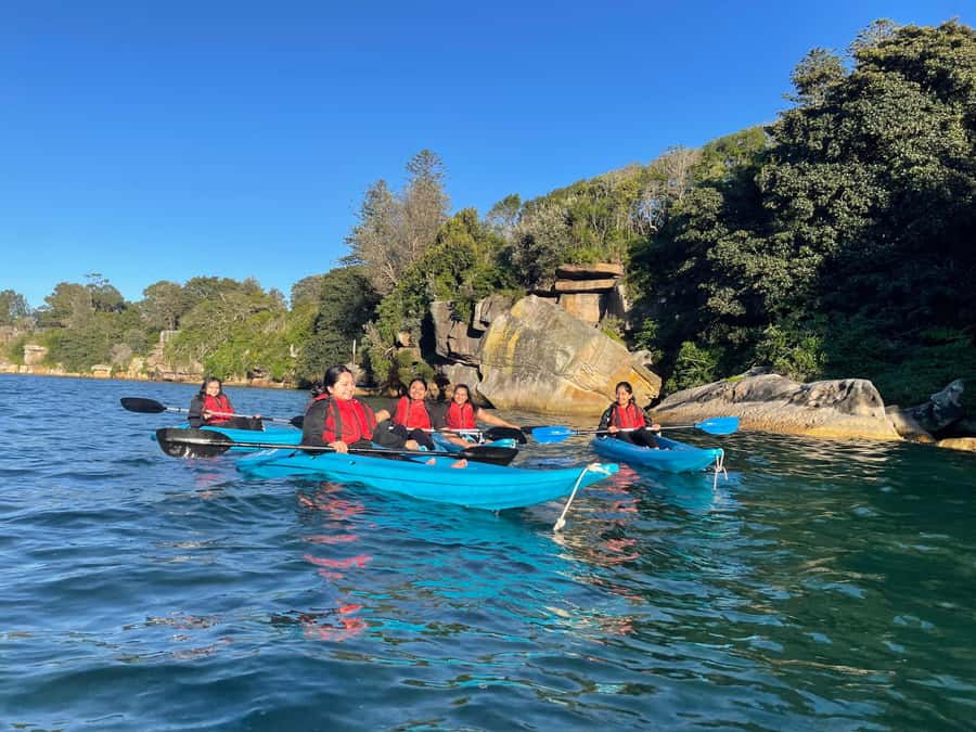 Sydney: Guided Kayak Tour of Manly Cove Beaches - Price and value for $67 over 150 minutes in Manly