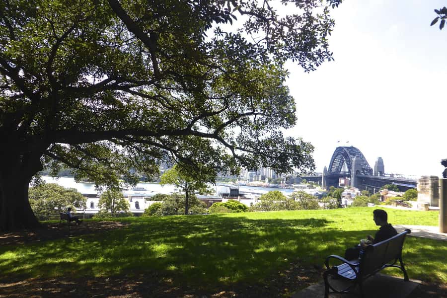 Sydney: Half-Day City Tour - Who Should Book, and What to Watch For