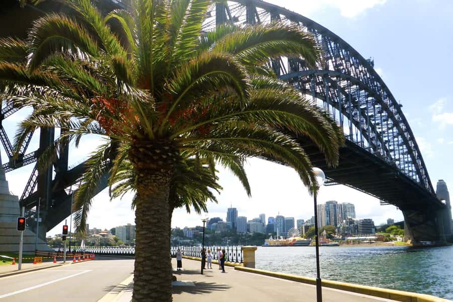 Sydney: Half-Day City Tour - The Rocks to Mrs Macquarie’s Chair, Classic Sydney With Context