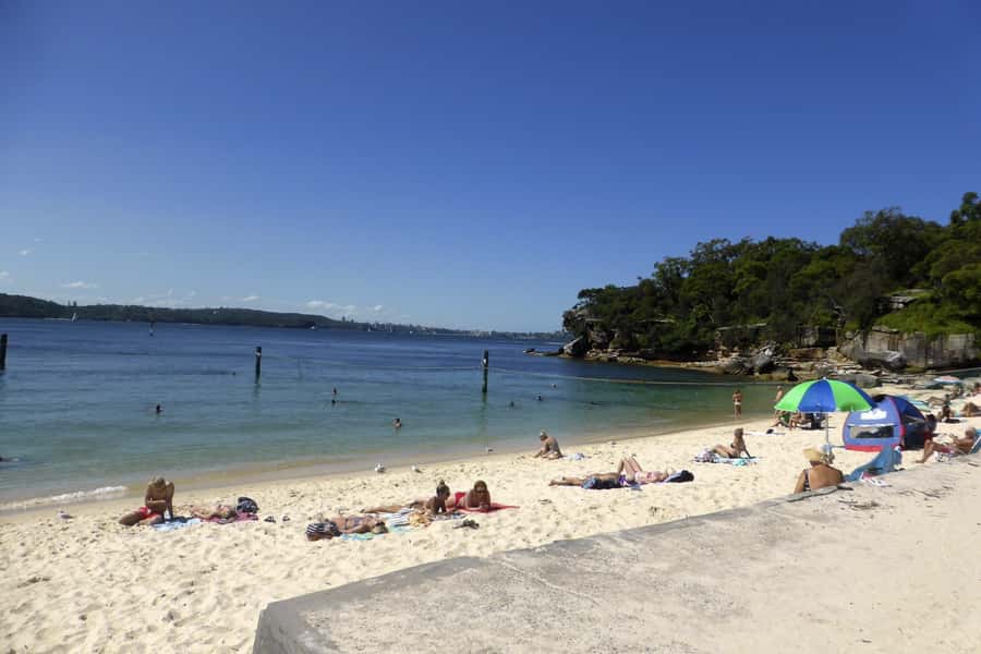 Sydney: Half-Day City Tour - Rose Bay to Watsons Bay to The Gap, Coastal Views With Real Direction