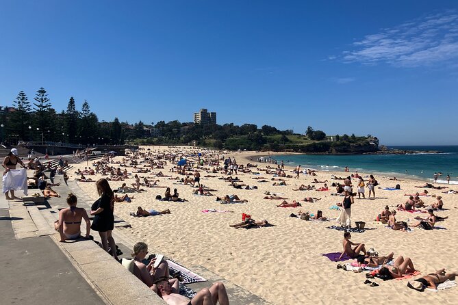 Sydney Half Day Luxury Private Tour - Price and value: is $247.45 per person worth it?