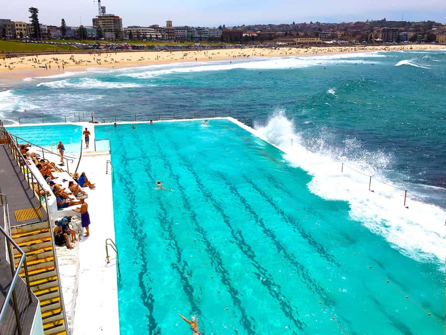 Sydney Half Day private tour: see Opera House, Bondi Beach - Harbour Bridge viewpoints and Mrs Macquarie’s Chair photo time