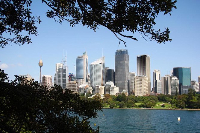 Sydney Half Day Private Tour: See Sydney Opera House and Bondi - Key Highlights You Will Feel Immediately