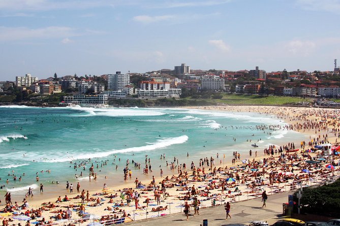 Sydney Half Day Private Tour: See Sydney Opera House and Bondi - Circular Quay, Ferries, and the Harbor Hub Logic