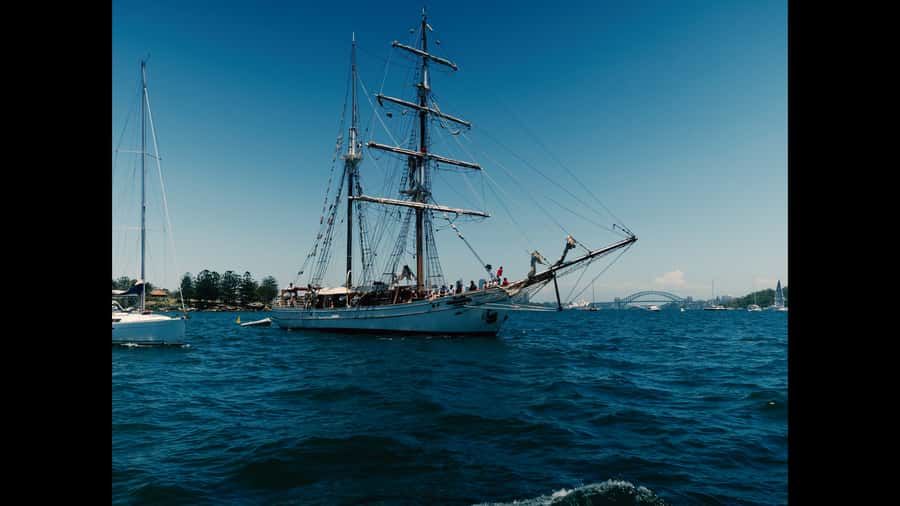 Sydney: Harbor Sunset Cruise with Dinner - Key Points You Should Know Before You Go
