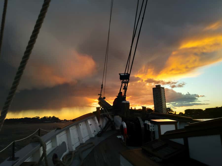 Sydney Harbor Tall Ship Wine & Canapés Evening Cruise - Key highlights worth circling