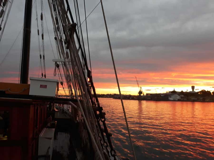 Sydney Harbor Tall Ship Wine & Canapés Evening Cruise - Opera House and Harbour Bridge views from Campbell’s Cove