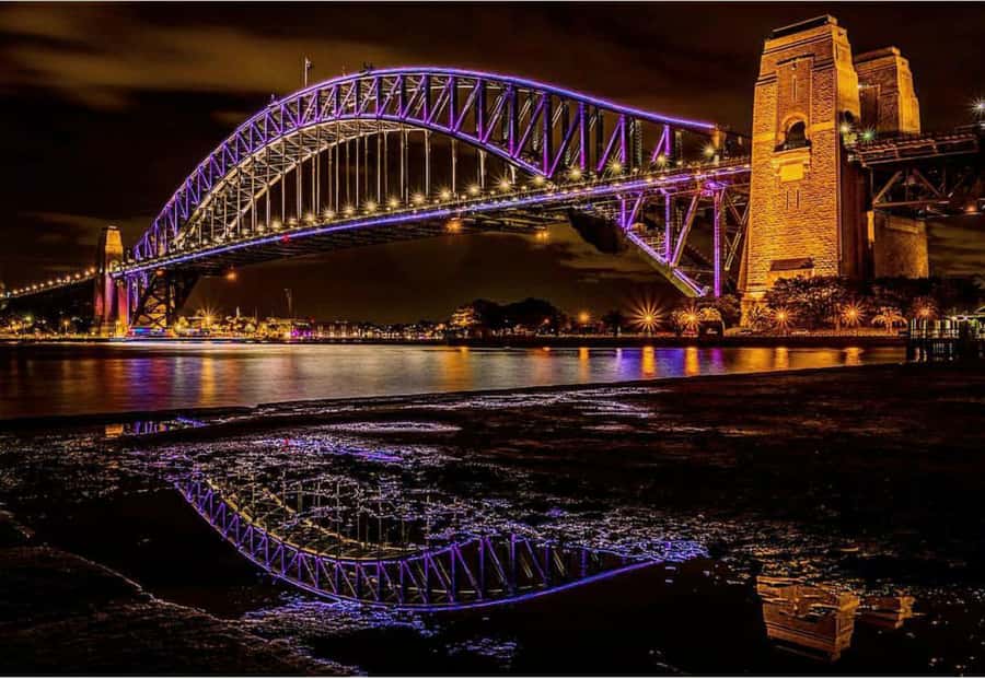 Sydney Harbour: 30 Minute Slow Jet Boat Vivid Cruise - Price and value: is $41 worth it?
