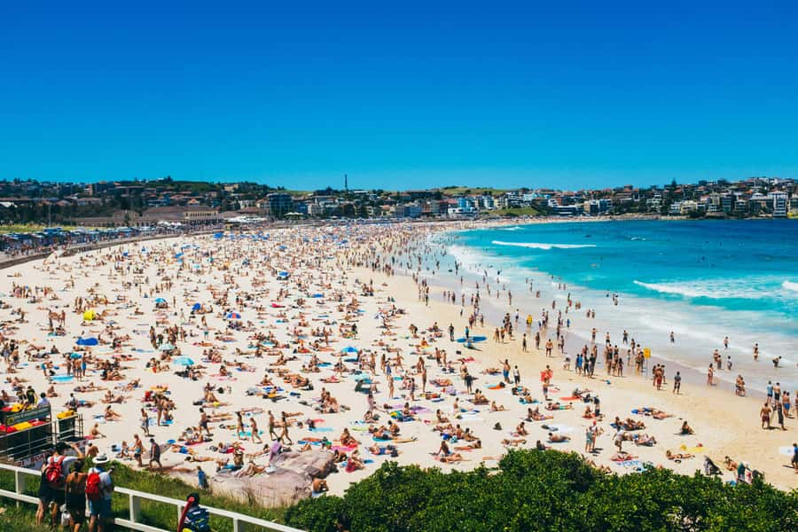 Sydney Harbour & Bondi: Morning Highlights with Breakfast - Mrs Macquarie’s Chair, where the harbour postcard starts