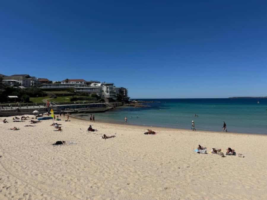Sydney Harbour & Bondi: Morning Highlights with Breakfast - Hotel pickup at 8:00 AM in a small luxury vehicle
