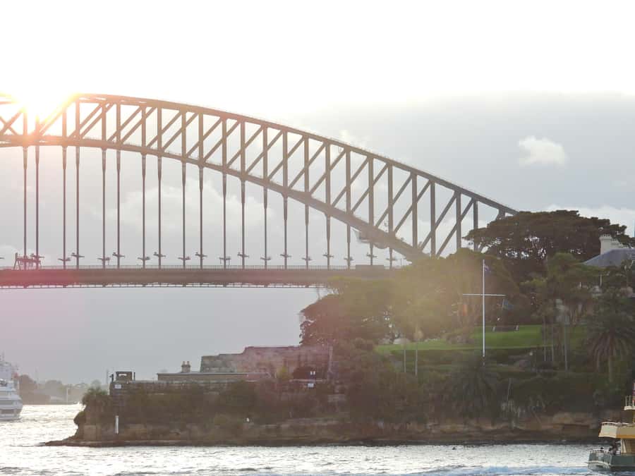 Sydney: Harbour Cruise with Buffet Lunch - Comfort and practical realities: stairs, crowd levels, and small annoyances
