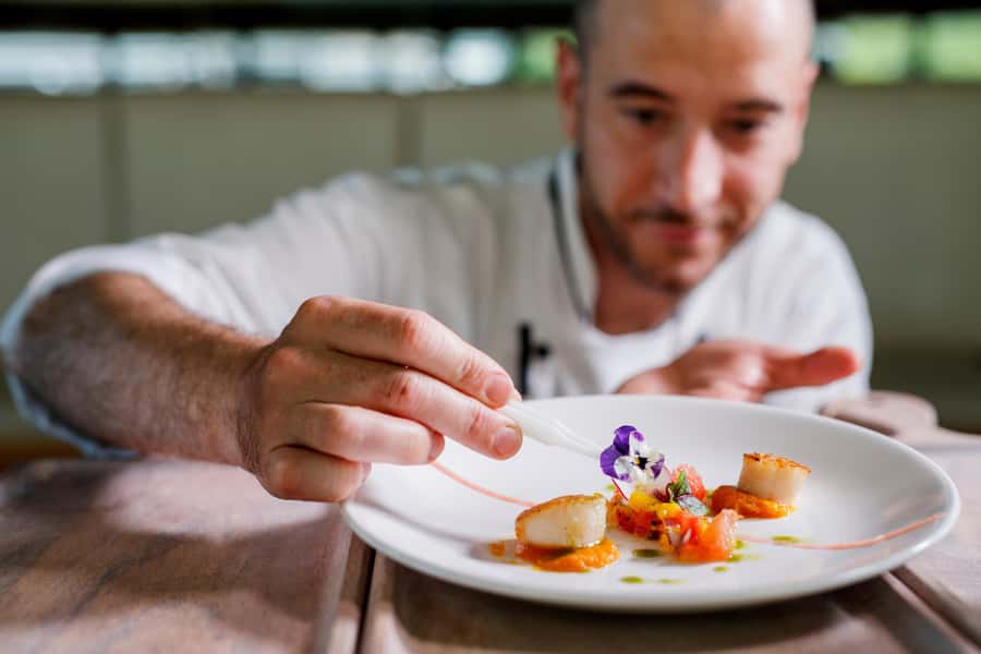 Sydney: Harbour Dinner Cruise with 3, 4 or 6-Course Menu - Where you meet and where you drop off: Circular Quay and Captain Cook Cruises wharves