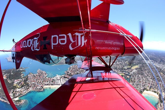 Sydney Harbour Joy Flight in the Pitts Special - Height and Weight Limits: The Simple Check That Matters