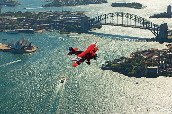 Sydney Harbour Joy Flight in the Pitts Special - Service Animals and Who Can Participate