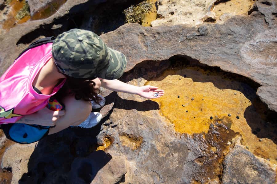 Sydney Harbour National Park 2-Hour Walking Tour - Sydney Harbour National Park, on foot, in two hours