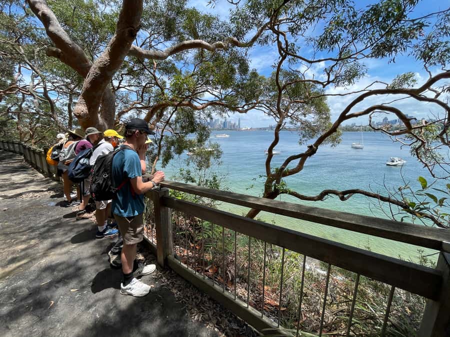 Sydney Harbour National Park 2-Hour Walking Tour - Meet at EcoWalks Tours, then get grounded in the right start