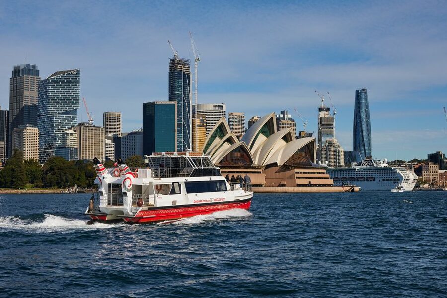 Sydney Harbour Sightseeing Cruise from Circular Quay - Clark Island, Shark Island, and the wildlife-ready harbor feel
