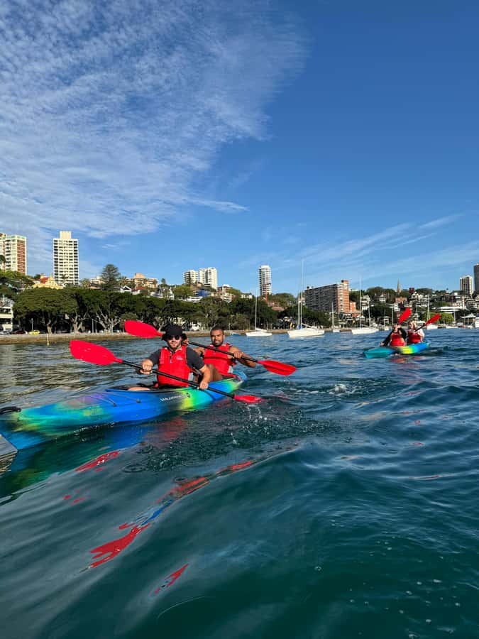 Sydney: Harbour Sunrise Kayak Tour - Where you meet: Rushcutters Bay or New Beach Rd