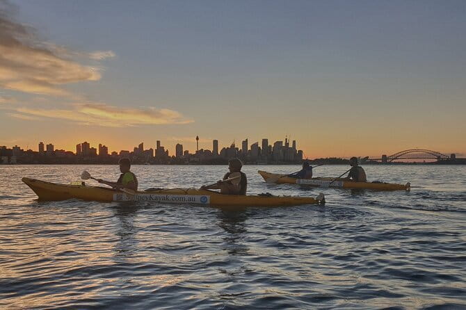 Sydney Harbour Sunset Dinner Paddle - Price and Value: What You’re Really Paying For