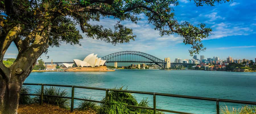 Sydney Harbour to Bondi: Small Group Half–Day Experience - Key highlights worth marking on your map