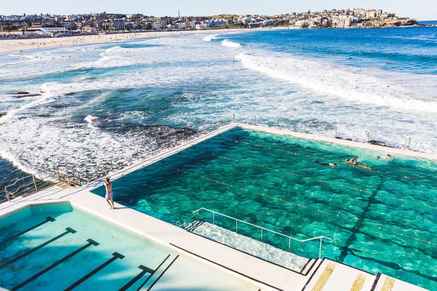 Sydney Harbour to Bondi: Small Group Half–Day Experience - Opera House, Harbor Bridge, and the view stops you actually remember