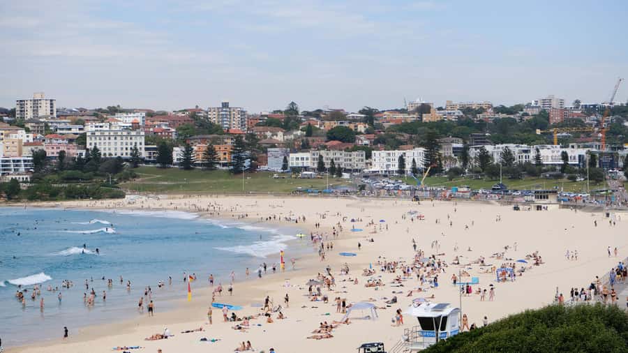 Sydney Harbour to Bondi: Small Group Half–Day Experience - Dover Heights and the Bondi-to-harbor storyline