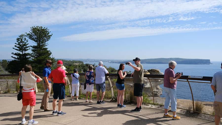 Sydney Harbour to Bondi: Small Group Half–Day Experience - Group size, guides, and why the commentary is the main event
