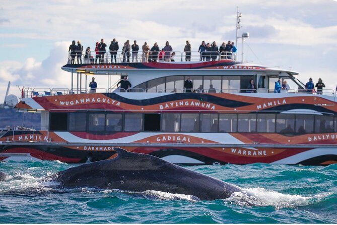 Sydney Harbour Whale Watching Experience - The 24m catamaran: two decks, better viewing, less crowd crush