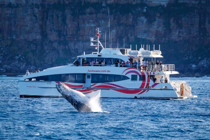 Sydney Harbour Whale Watching Experience - Getting aboard at Darling Harbour, and how pickup fits in