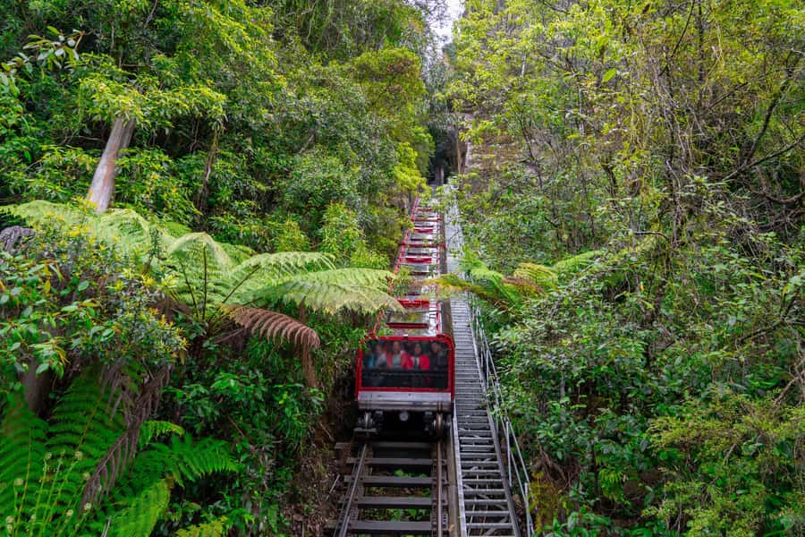 Sydney: Heritage Zig Zag Steam Train and Blue Mountains Tour - Scenic World: Scenic Railway and Skyway for the Adrenaline Crowd