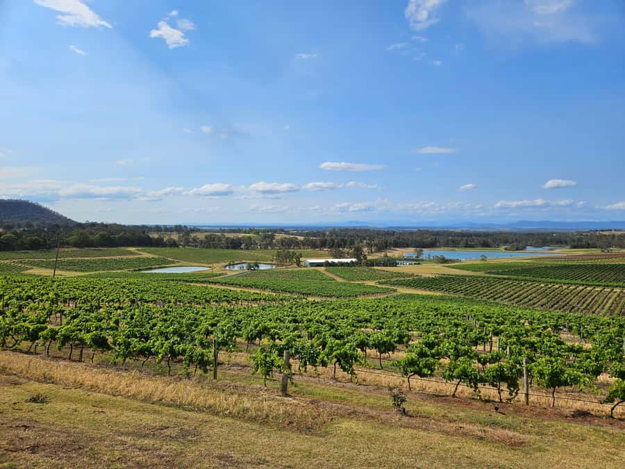 Sydney Hunter Valley Tour (Private) - Key highlights you will actually care about