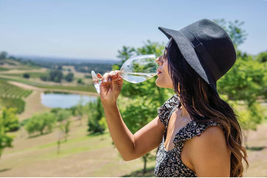Sydney: Hunter Valley Wineries Day Trip with Food Tastings - Hunter Valley Village lunch: where you recharge before the olive and cheese focus
