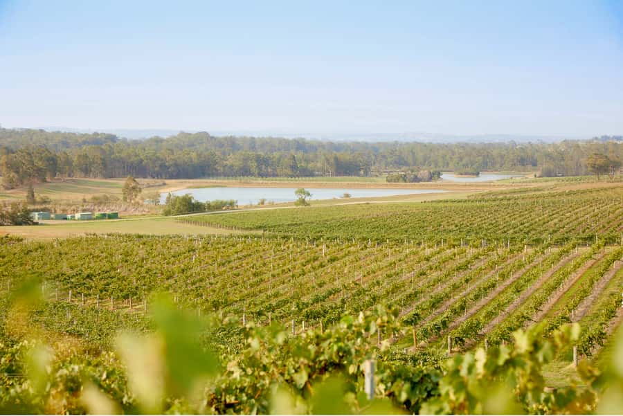 Sydney: Hunter Valley Wineries Day Trip with Food Tastings - Van comfort and guide style, the two variables that matter
