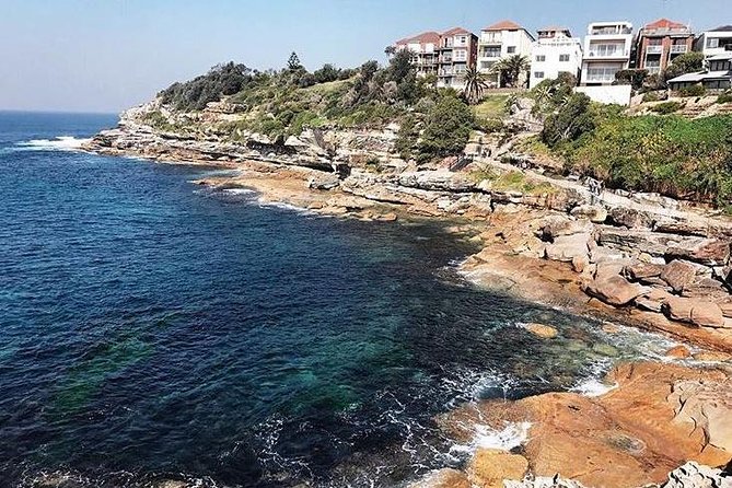 Sydney Icons & Bondi Half Day Private Tour - Private Sydney in a half day: why this route works
