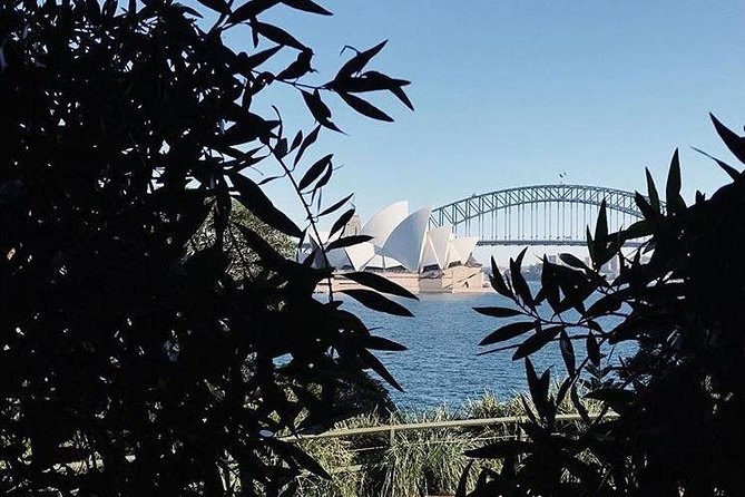 Sydney Icons & Bondi Half Day Private Tour - Sydney Harbour Bridge: the photo moment you can plan for